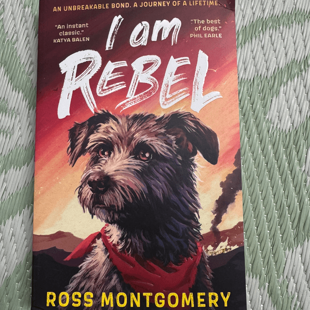 I am rebel 