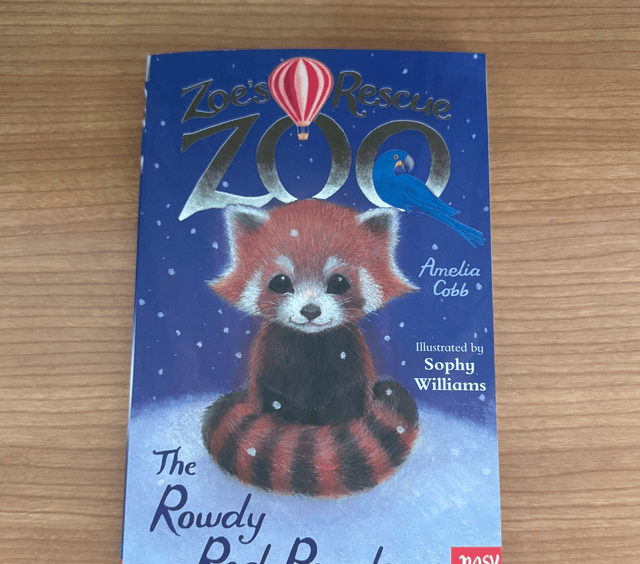 The rowdy Red panda 